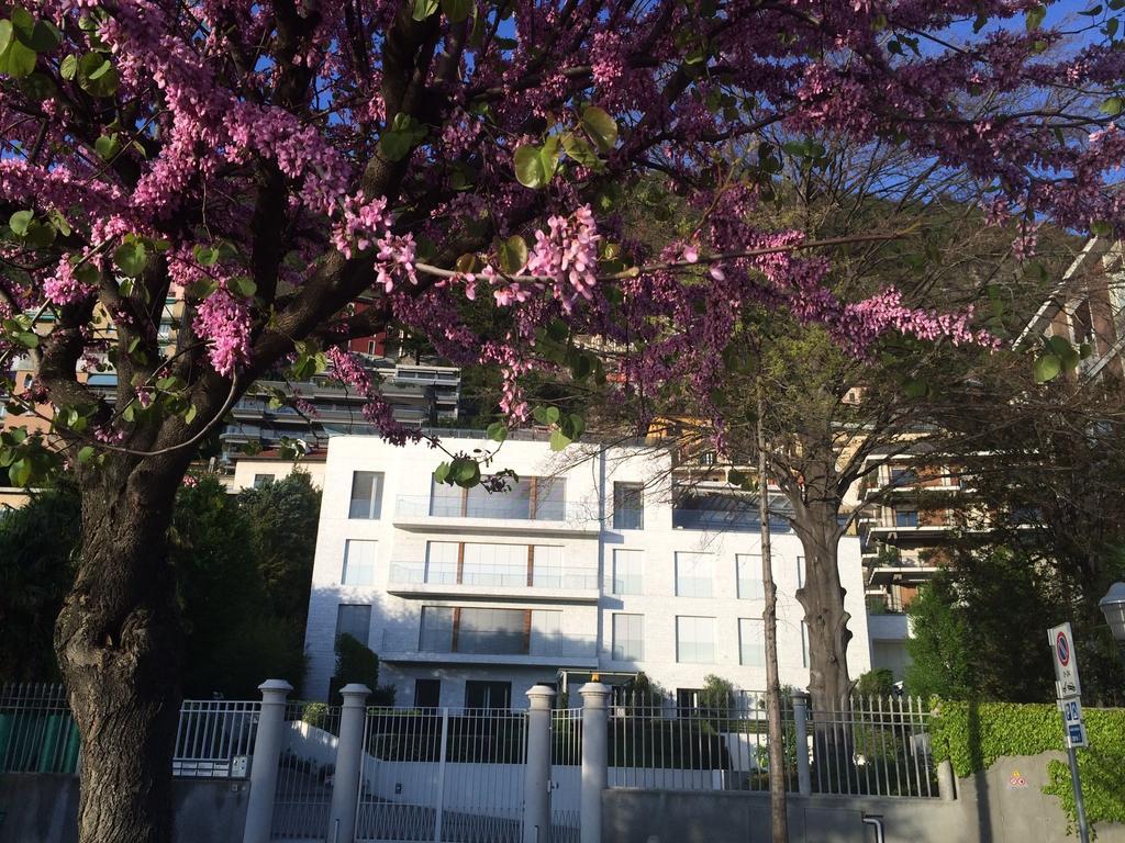 Villa Bianca Como Pokoj fotografie